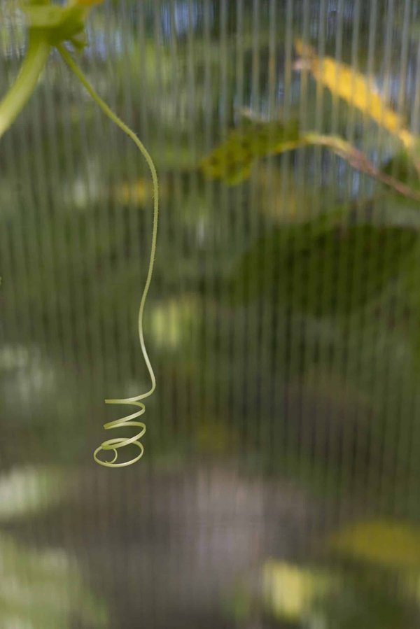 What's the Best Method for Tailoring a Home HVAC System for Climate-Sensitive Residents?